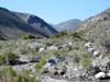 Cottonwood Canyon