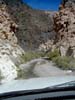 Goler Spring