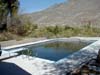 Pfizer Pool